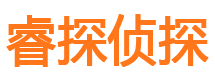 大新睿探私家侦探公司